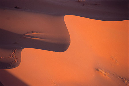 Curvas. Desierto Merzouga